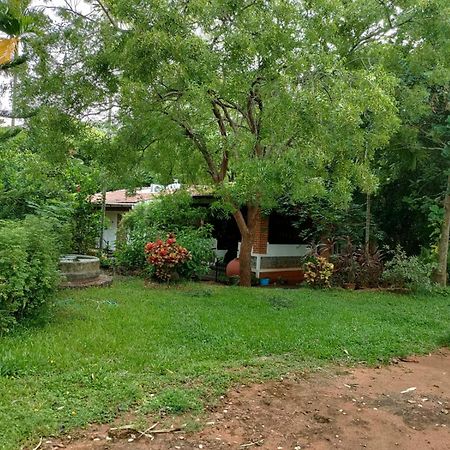Inn Pondiville Forest Retreat Puducherry Zewnętrze zdjęcie