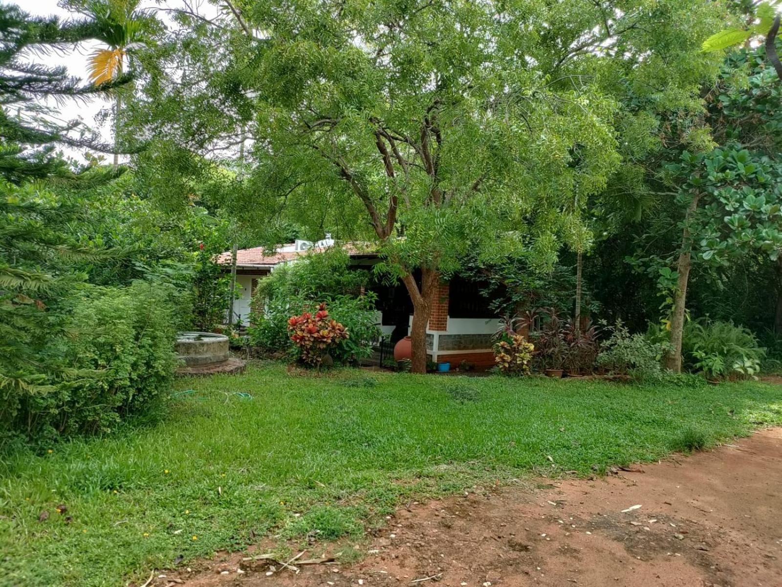 Inn Pondiville Forest Retreat Puducherry Zewnętrze zdjęcie