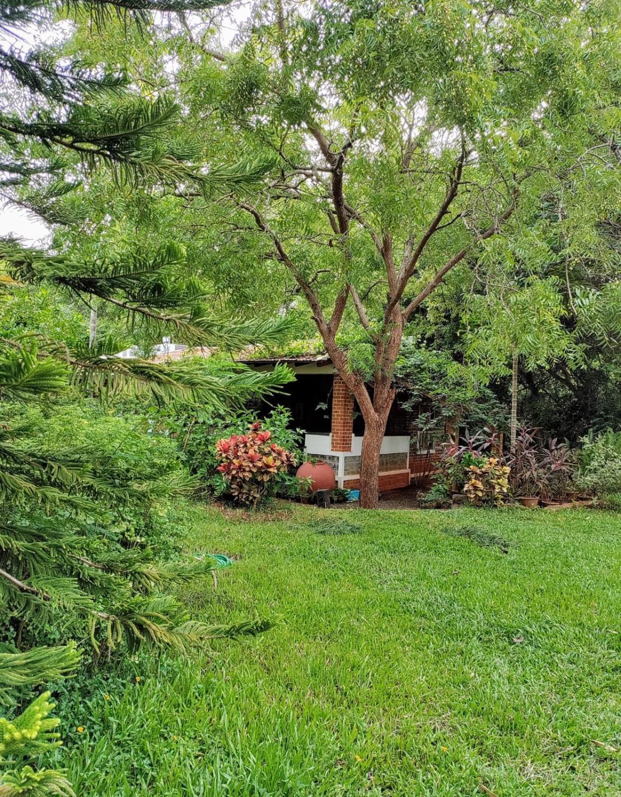 Inn Pondiville Forest Retreat Puducherry Zewnętrze zdjęcie
