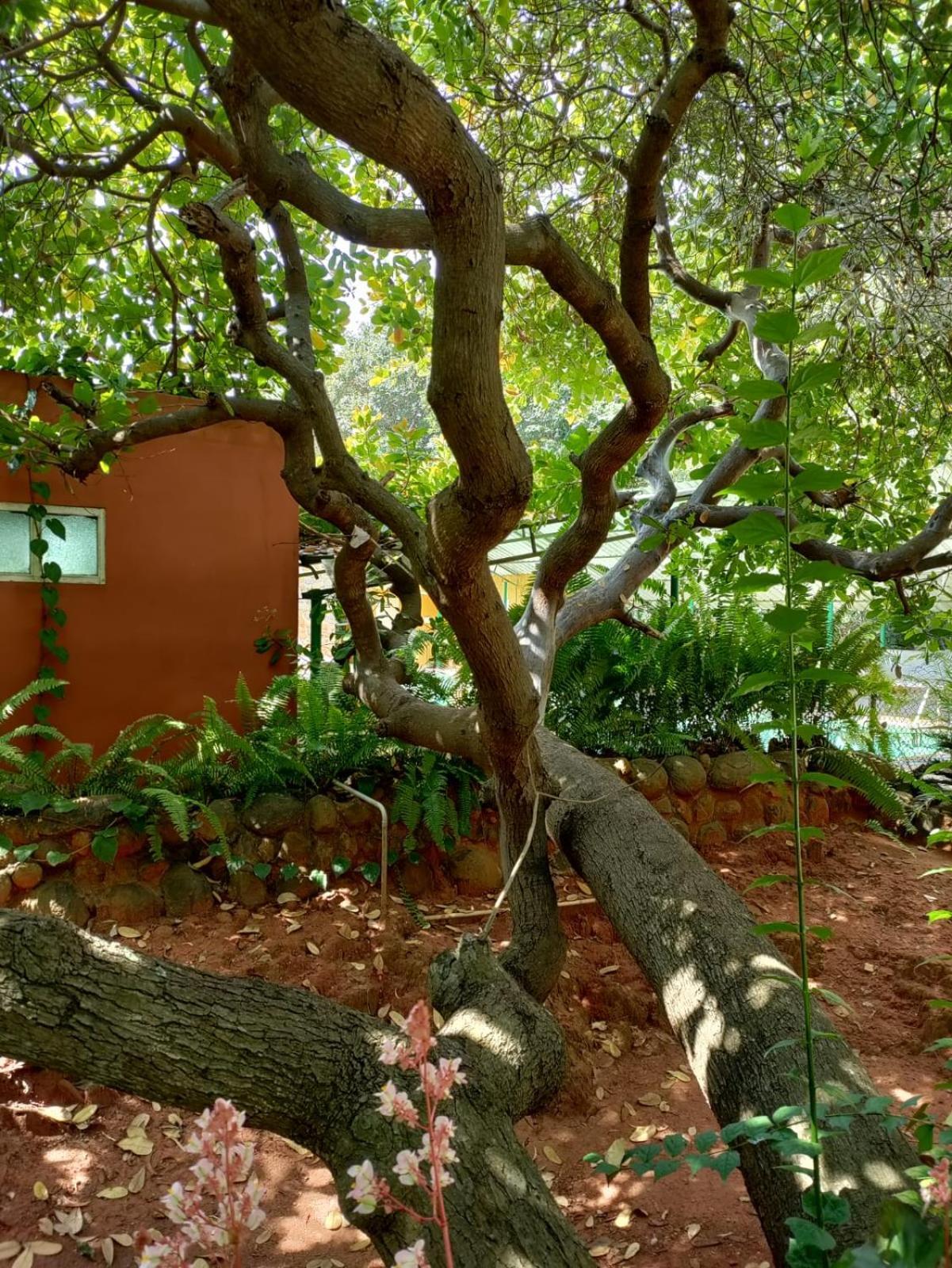 Inn Pondiville Forest Retreat Puducherry Zewnętrze zdjęcie