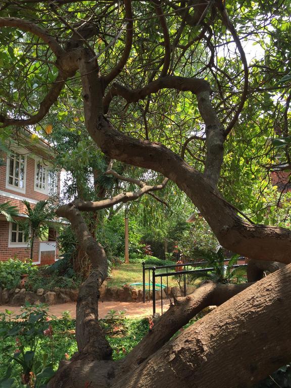 Inn Pondiville Forest Retreat Puducherry Zewnętrze zdjęcie