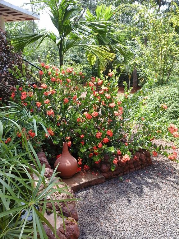 Inn Pondiville Forest Retreat Puducherry Zewnętrze zdjęcie